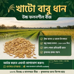 খাটো বাবু  (২ কেজি)