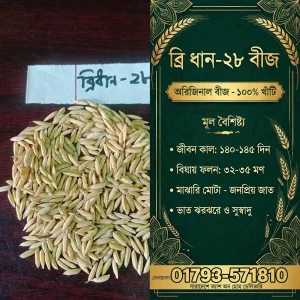 ব্রি ধান – ২৮ (২ কেজি)