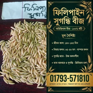 ফিলিপাইন সুগন্ধি (২ কেজি)