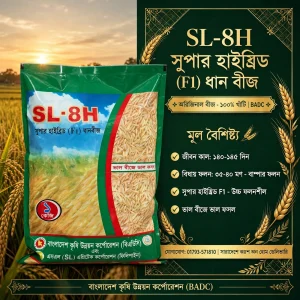 SL8 (১ কেজি)