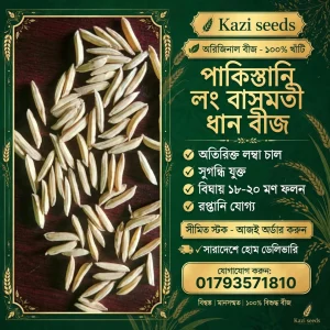 পাকিস্তানি লং বাসমতী  (২ কেজি)