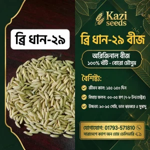 ব্রি ধান – ২৯ (২ কেজি)