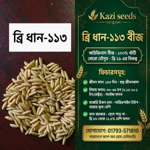 ব্রি ধান – ১১৩ (২ কেজি)