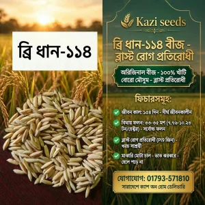ব্রি ধান – ১১৪ (২ কেজি)